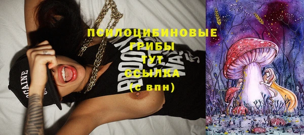 индика Армянск