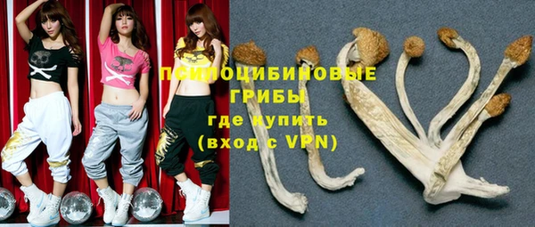молекула духа Михайловск
