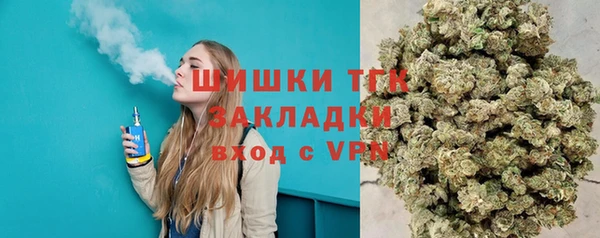 молекула духа Михайловск