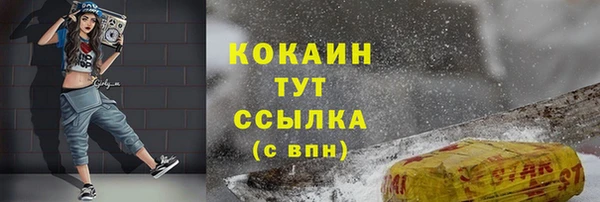 индика Армянск