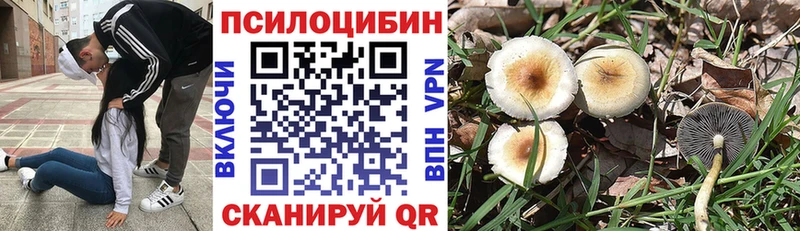 где купить наркотик Старый Крым Псилоцибиновые грибы мухоморы